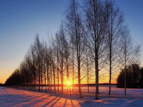 �F�����핳���������f(w��n)��(bi��o)��ӳ��(j��ng)